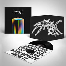 Load image into Gallery viewer, Judah & the Lion - I AM A PRISM (Black Vinyl)