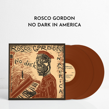 Load image into Gallery viewer, No Dark In America (Brown Vinyl)