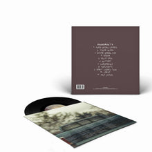 Load image into Gallery viewer, Lordy (Vinyl)