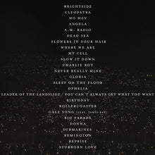 Load image into Gallery viewer, The Lumineers Live From Wrigley Field (Vinyl)