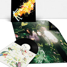 Load image into Gallery viewer, Burnout Days (Vinyl)