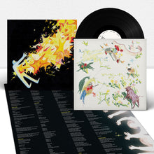 Load image into Gallery viewer, Burnout Days (Vinyl)