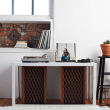 Load image into Gallery viewer, Salt (Vinyl)