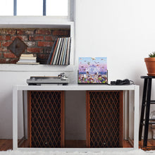 Load image into Gallery viewer, Rearrange Us (Vinyl)