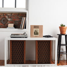 Load image into Gallery viewer, Shakey Graves And The Horse He Rode In On... (Clear Vinyl)