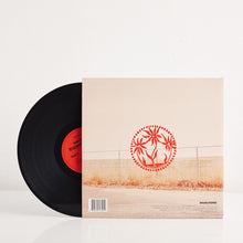 Load image into Gallery viewer, Expectations (Vinyl)