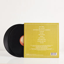 Load image into Gallery viewer, The World We Built (LP)