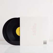 Load image into Gallery viewer, Stadium Cake (Vinyl)