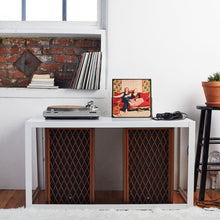 Load image into Gallery viewer, Pillow Talk (Vinyl)