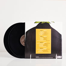 Load image into Gallery viewer, In Case You Missed It: 15 Years of Dualtone (Vinyl)