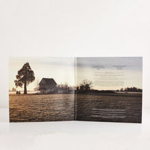 Load image into Gallery viewer, III (Vinyl)