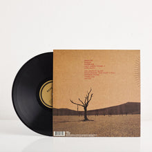 Load image into Gallery viewer, Shovels & Rope (Vinyl)