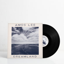 Load image into Gallery viewer, Dreamland (Vinyl)