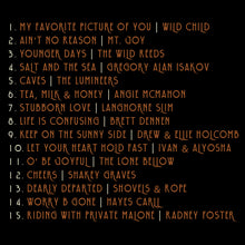 Load image into Gallery viewer, Amerikinda: 20 Years of Dualtone (CD)