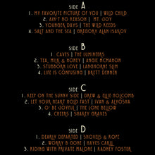 Load image into Gallery viewer, Amerikinda: 20 Years of Dualtone (Vinyl)