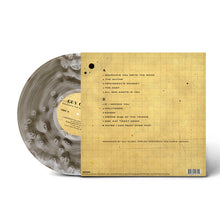 Load image into Gallery viewer, Somedays The Song Writes You (Birchwood Vinyl)