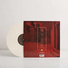 Load image into Gallery viewer, Shape & Destroy (Ltd. Edition Vinyl)