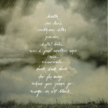 Load image into Gallery viewer, Evening Machines (Vinyl)