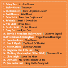 Load image into Gallery viewer, In Case You Missed It: 15 Years of Dualtone (Vinyl)