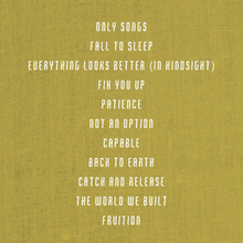 Load image into Gallery viewer, The World We Built (LP)