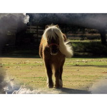 Load image into Gallery viewer, 5,000 Candles In The Wind (Shirt)