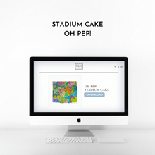 Load image into Gallery viewer, Stadium Cake (Digital Download)
