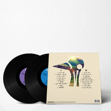 Load image into Gallery viewer, Far Out Country I&amp;II (Black Vinyl) [Signed]
