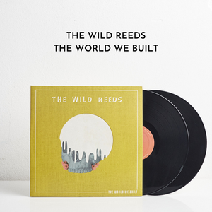 The World We Built (LP)