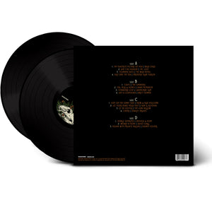 Amerikinda: 20 Years of Dualtone (LP)