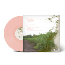 Load image into Gallery viewer, The Dreaming Fields (Signed Ltd. Edition Vinyl)
