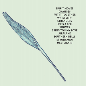 The Spirit Moves (CD)